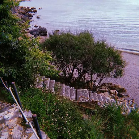 Pau *
